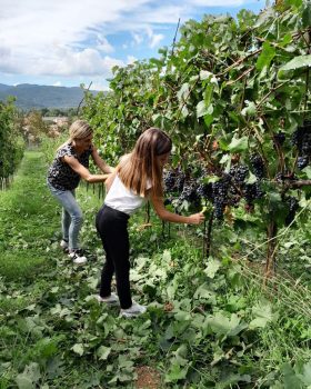 Cantina e Winery Podere Sofia - Poppi (10)